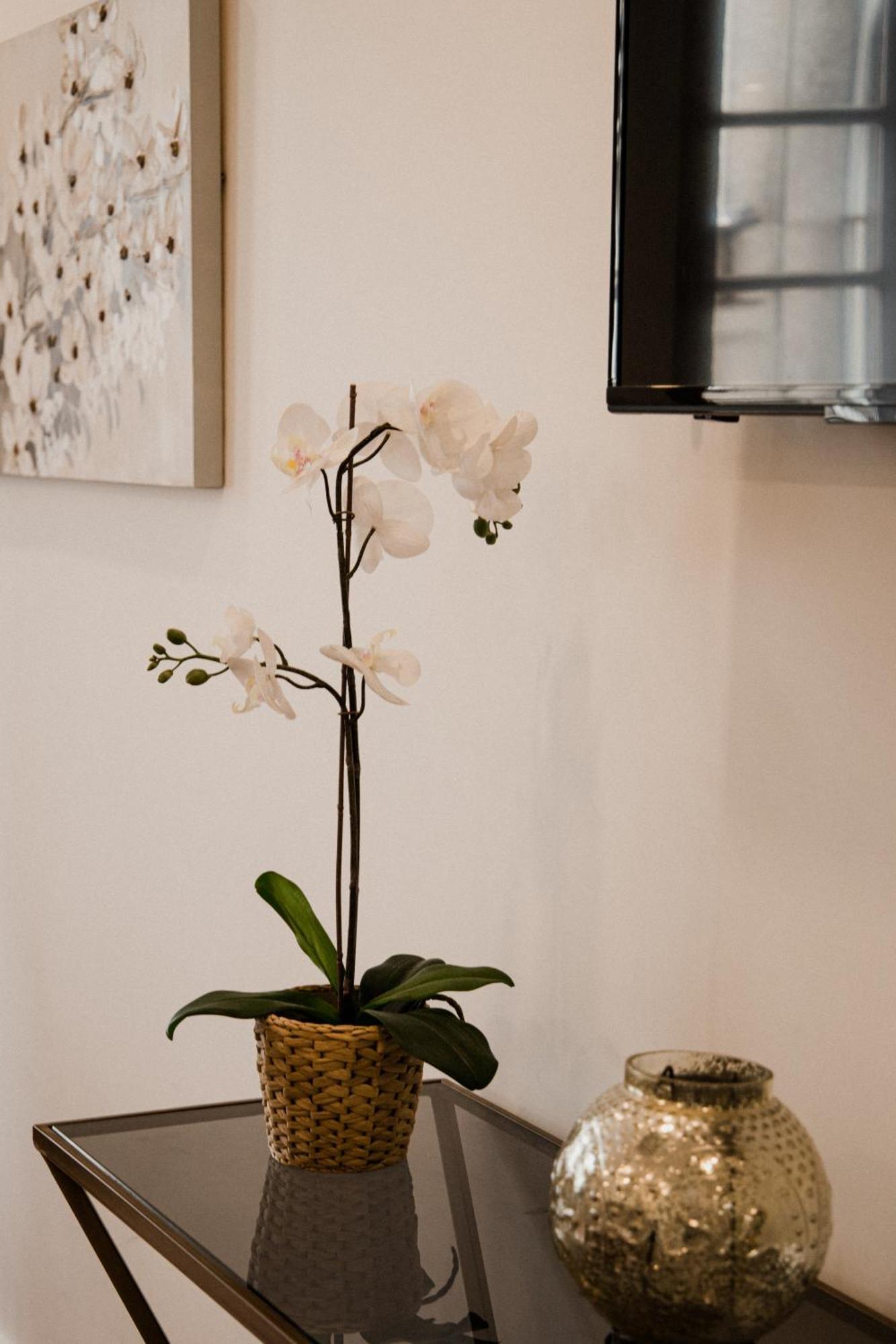 Bruval Premium Apartments - Se Porto Luaran gambar